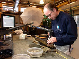 archaeological laboratory at the Viking Ship Museum